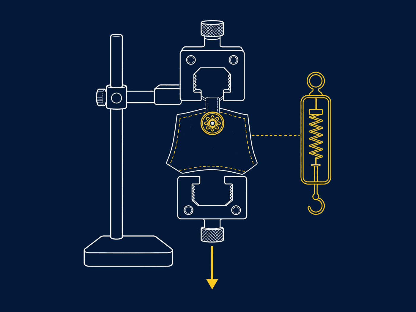Diagram of a decorative button gripped by a clamp with a downward force arrow and a spring gauge