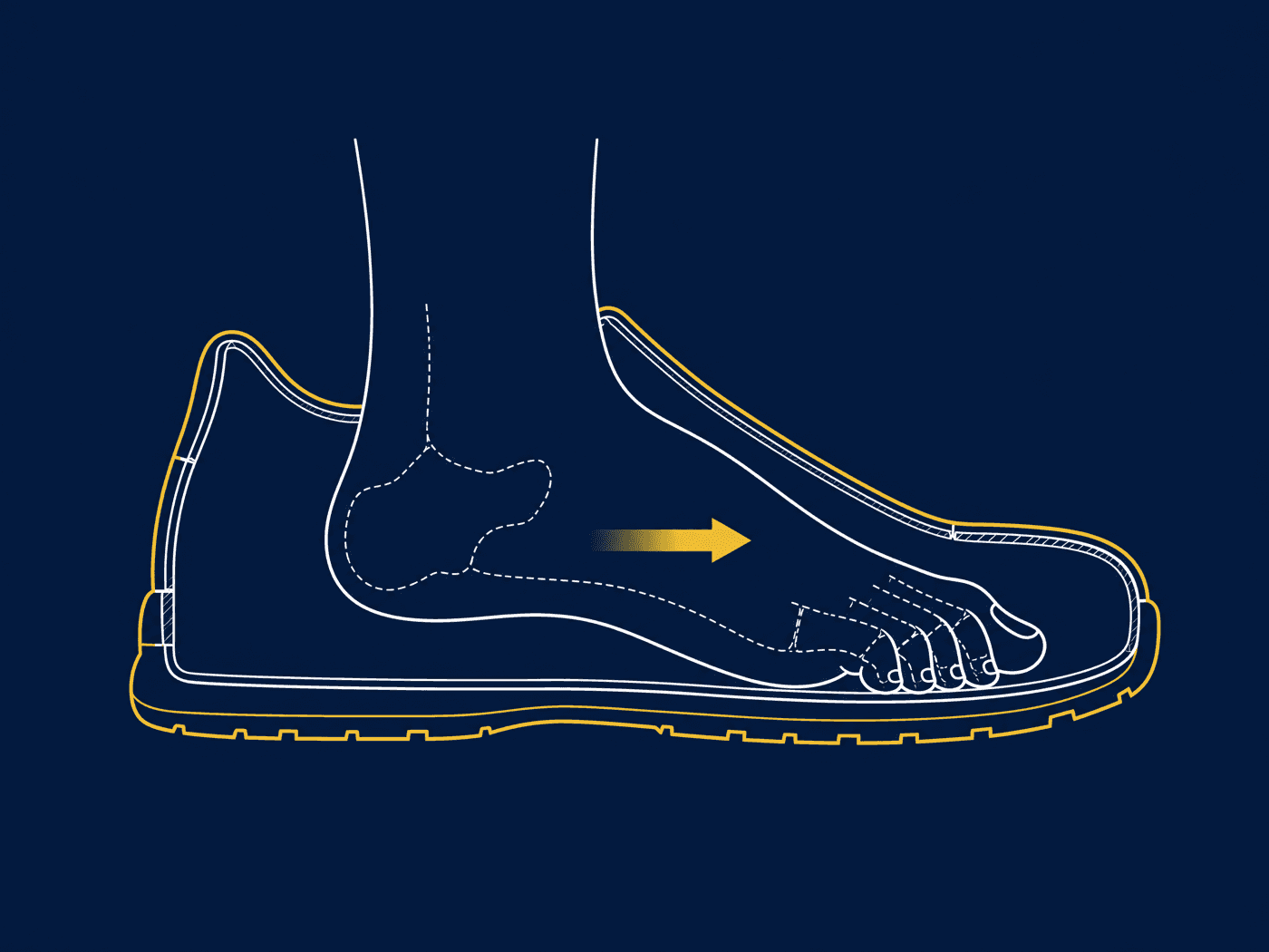Cutaway diagram of a shoe that is too long, with the foot slid forward, the heel lifted and the toes curled
